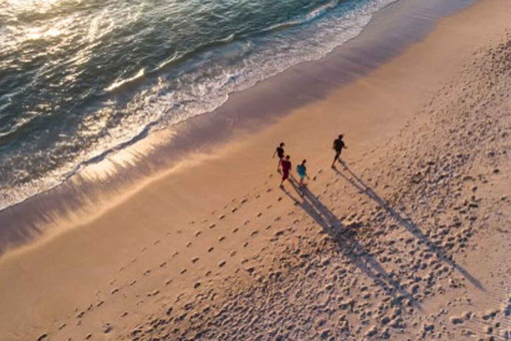 Alcohol: Is It The Gateway Drug?