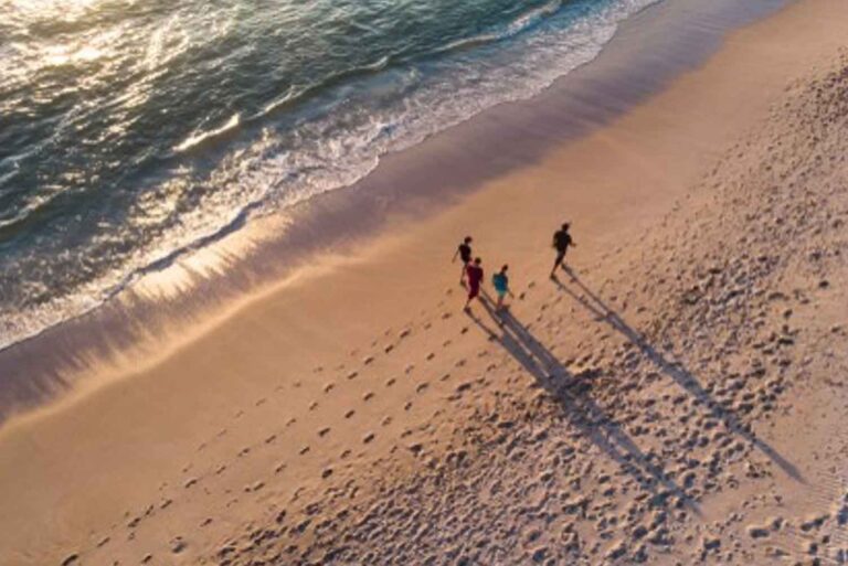 Alcohol: Is It The Gateway Drug?