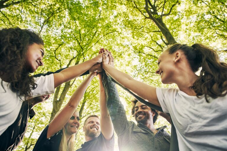 Group of people in forest holding hands in supportive way